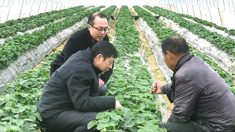 /uploads/image/2022/11/30/7bff8ac39e4a9e64790abaf109ce385e.jpg 1669784030250.jpg