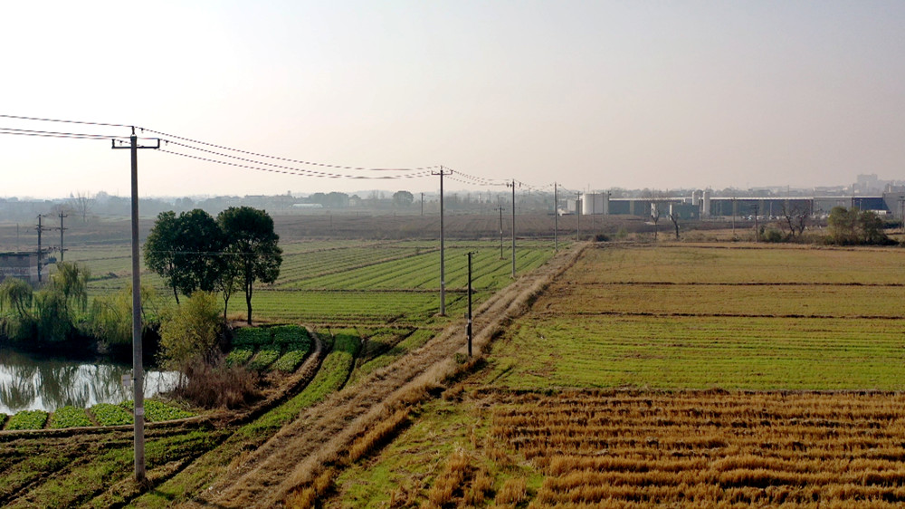 /uploads/image/2022/12/14/54087fffab837b6c14e39a0b13913d47.jpg 图为一排整整齐齐已经架设完工的线路 .jpg