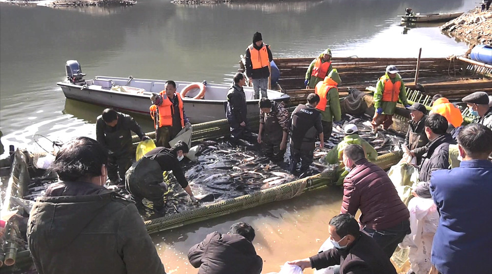 /uploads/image/2023/01/10/3d6711acf5739e1f9b110c61c339c87d.jpg 1673255654385.jpg