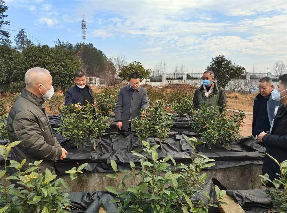 /uploads/image/2023/01/12/1ae2ade88fc0f8c177edec9cf42df1d3.jpeg 11.jpeg