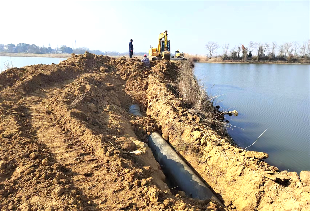 /uploads/image/2023/01/12/fdda305723a5d77fa14e7f6b445990a4.png 12.png