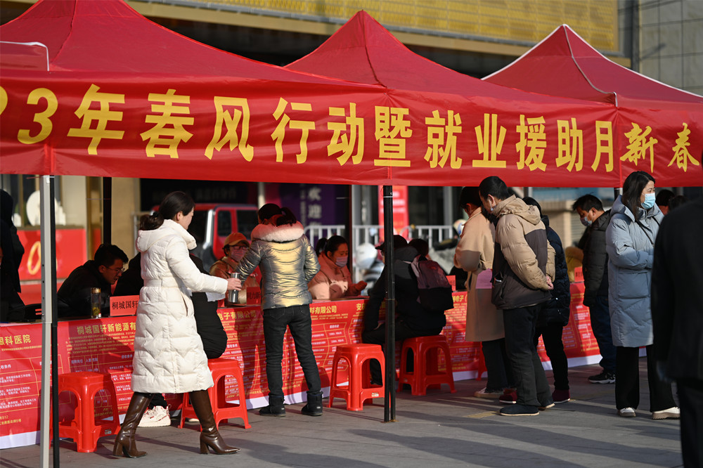 【网络中国节·春节】桐城：2023年“春风行动”暨就业援助月新春大招聘火热进行中1.JPG