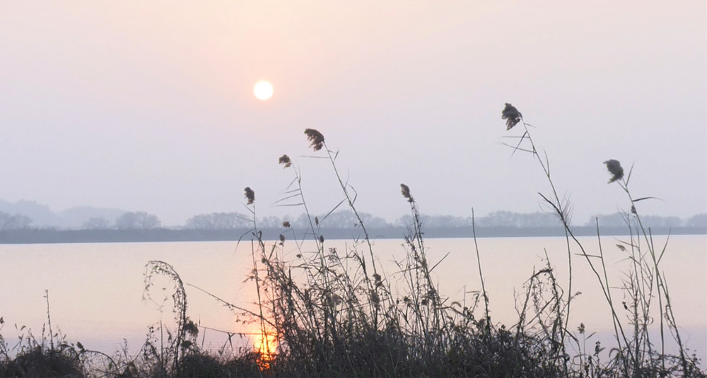 /uploads/image/2023/02/01/6de386991c84a16d2d7ba27e41ae6115.jpg 图为嬉子湖国家湿地公园风光.jpg