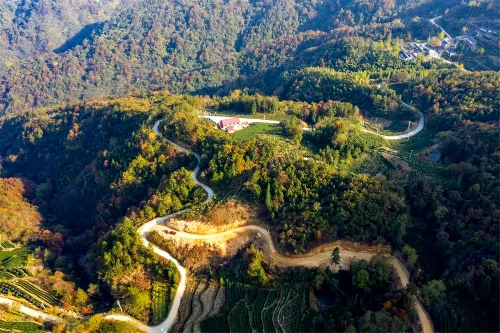 /uploads/image/2023/02/08/fb413ed56e5c9f87cdc9f7b60f165763.jpg 4.jpg