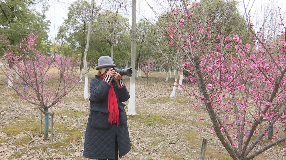 /uploads/image/2023/02/13/f00a148632d1a62a31a9e136c4e7fea2.jpg 梅花2.jpg