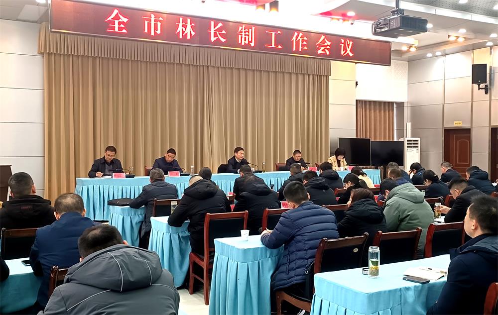 /uploads/image/2023/02/17/10f9459042964b317a7491b44b136921.jpg 0.jpg