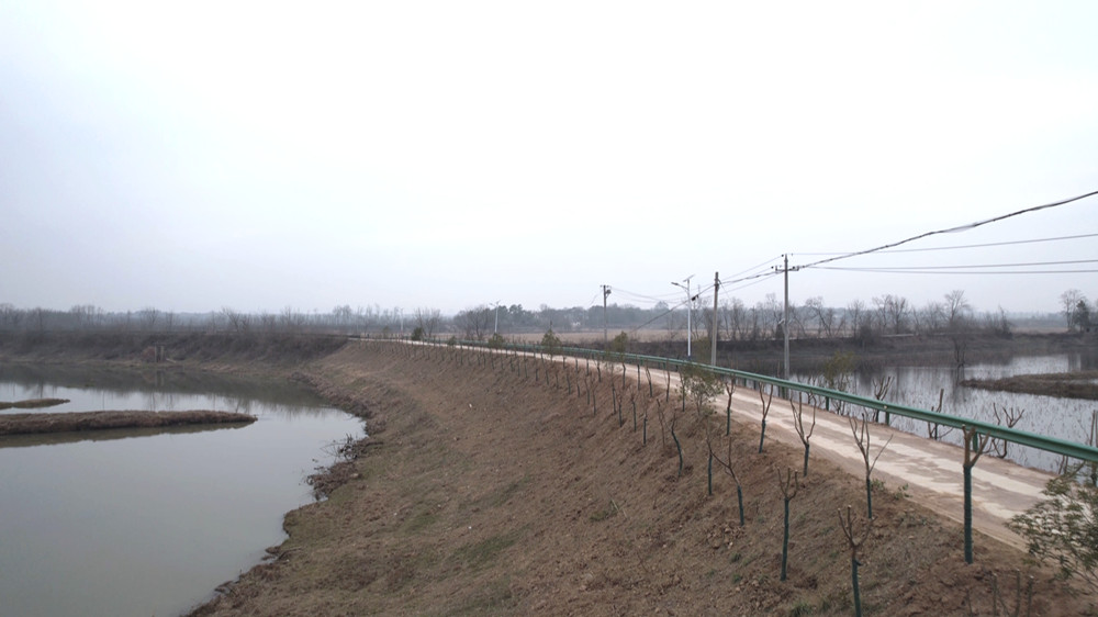 /uploads/image/2023/02/21/b41db3a3a4aaad8f86d72f955f8962c1.jpg 植树造景3.jpg