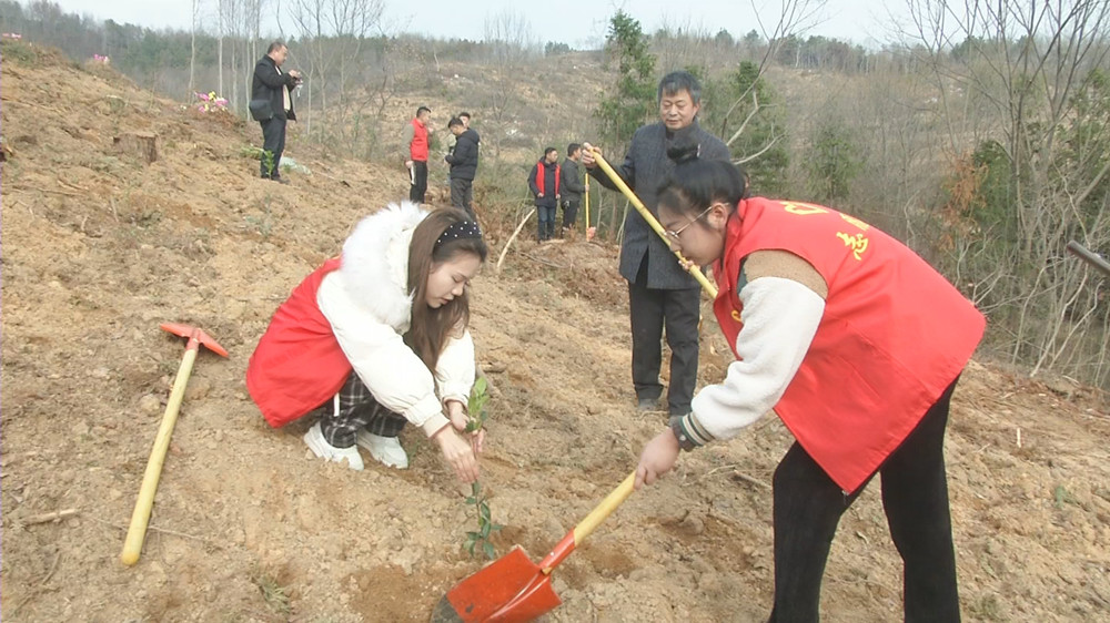 图为植树活动.jpg