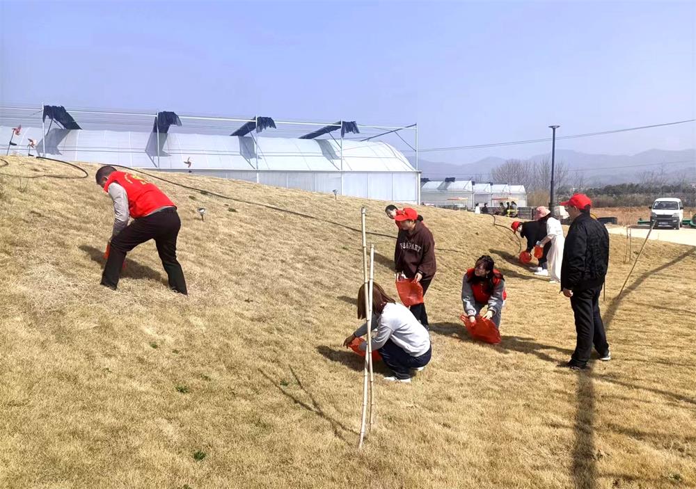 /uploads/image/2023/03/06/ab525e31212de7ea0d856a34f0064ff4.jpg 10科经.jpg