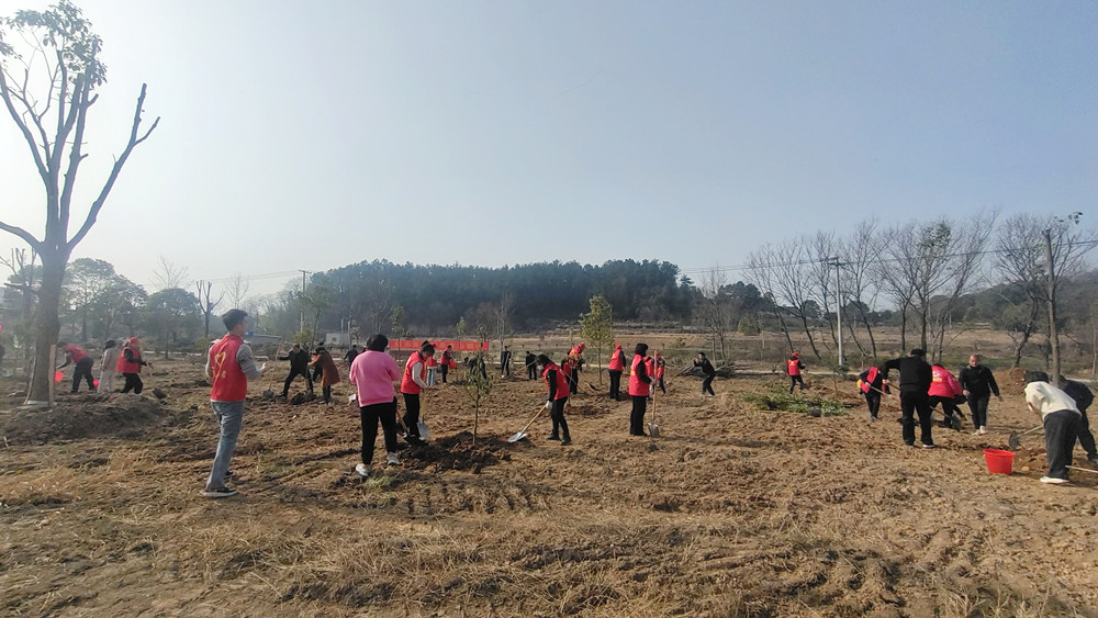 /uploads/image/2023/03/06/e3803d23ae625c2e5546309244850cb7.jpg 图为植树现场。.jpg