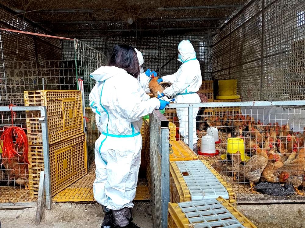 /uploads/image/2023/03/08/68e5a05ca5d0c69fb3e9c402ee30d082.jpg 3.jpg