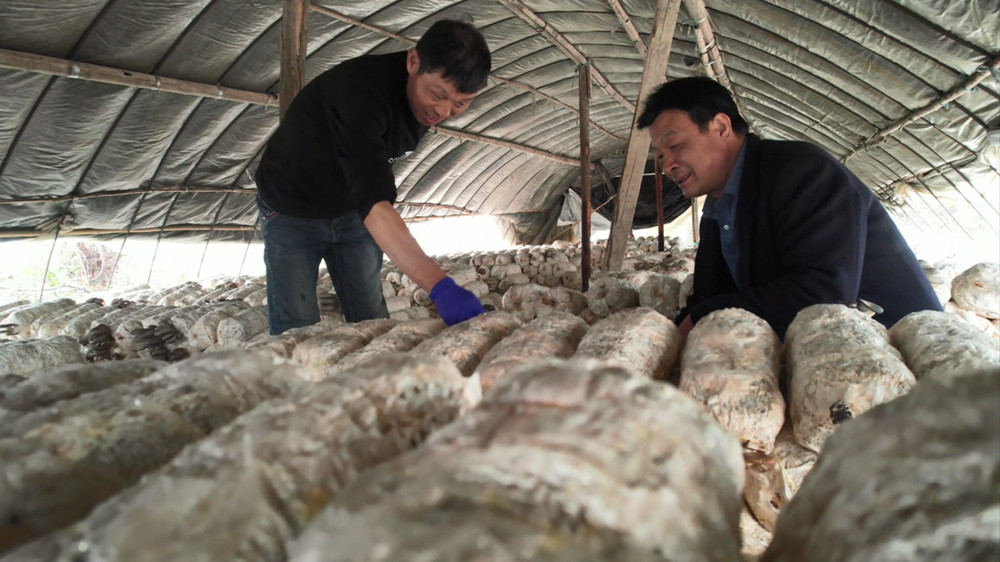 /uploads/image/2023/03/10/55a4abe33c82da1c0bea697ba440090b.jpg 1678415324603.jpg