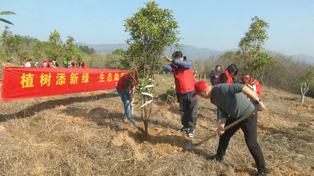 图为植树现场.jpg