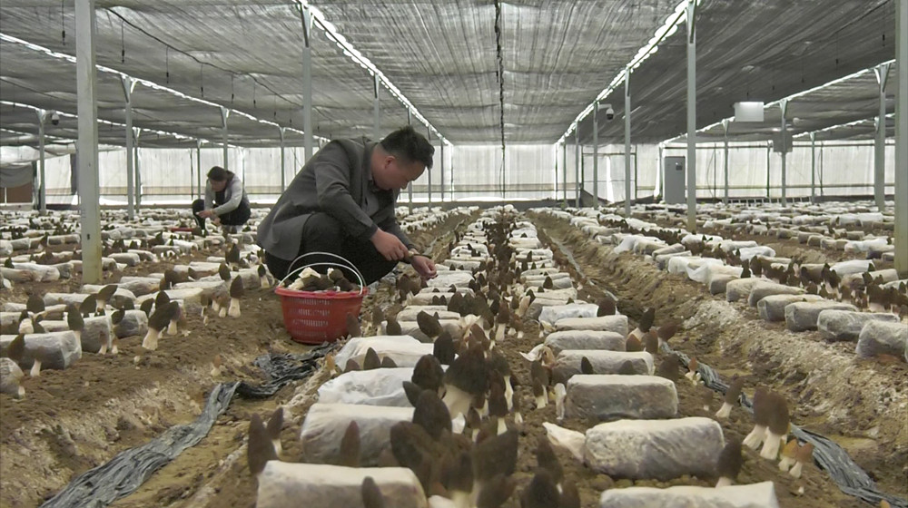 /uploads/image/2023/03/20/3c97829598ec75ea1564ba66688954b8.jpg 1679051006219.jpg