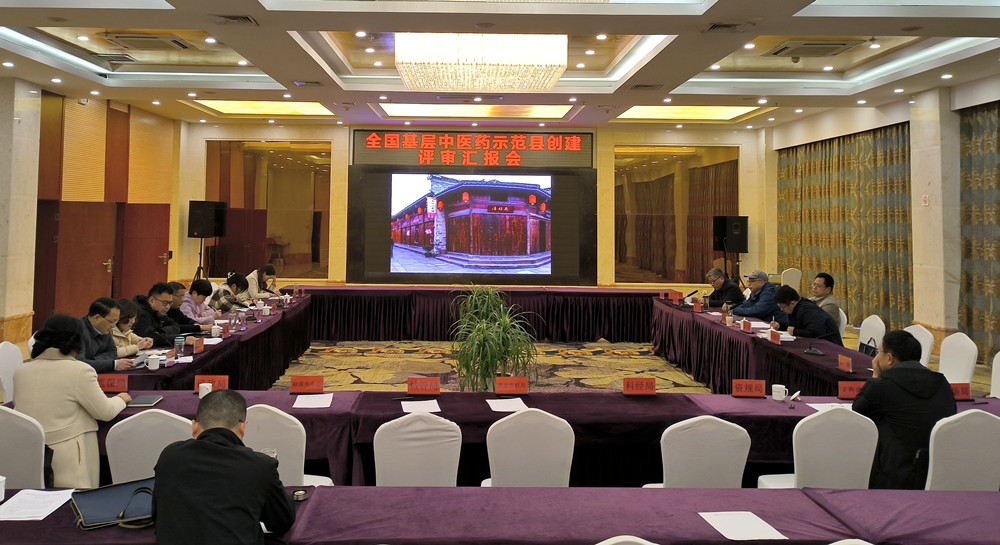 /uploads/image/2023/03/21/c1f0eea61aeaaad2854f0dfa4a430c6f.jpg 全国基层中医药工作示范县专家评审组来桐评审.jpg