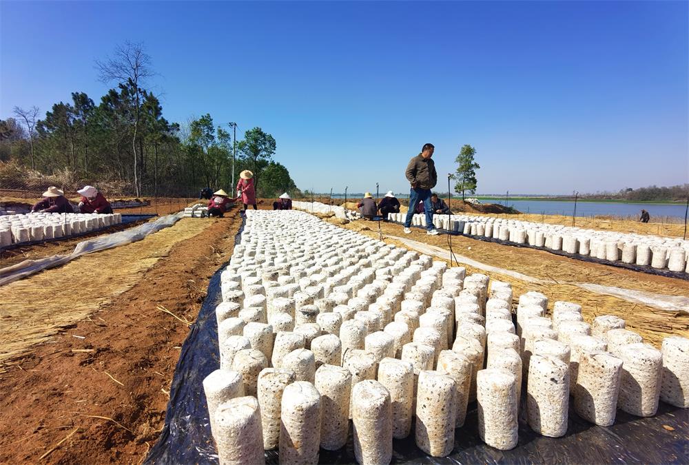 /uploads/image/2023/03/22/57baa8899defff59c14b5f55fe03b230.jpg 1.jpg