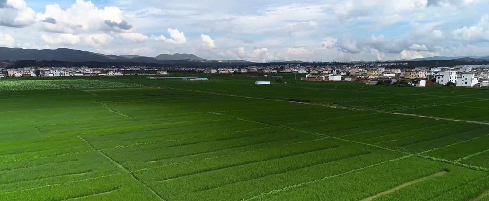 /uploads/image/2023/03/24/ec0b4865a7cace59b3a69b9e466d01da.jpg 富锌大米.jpg