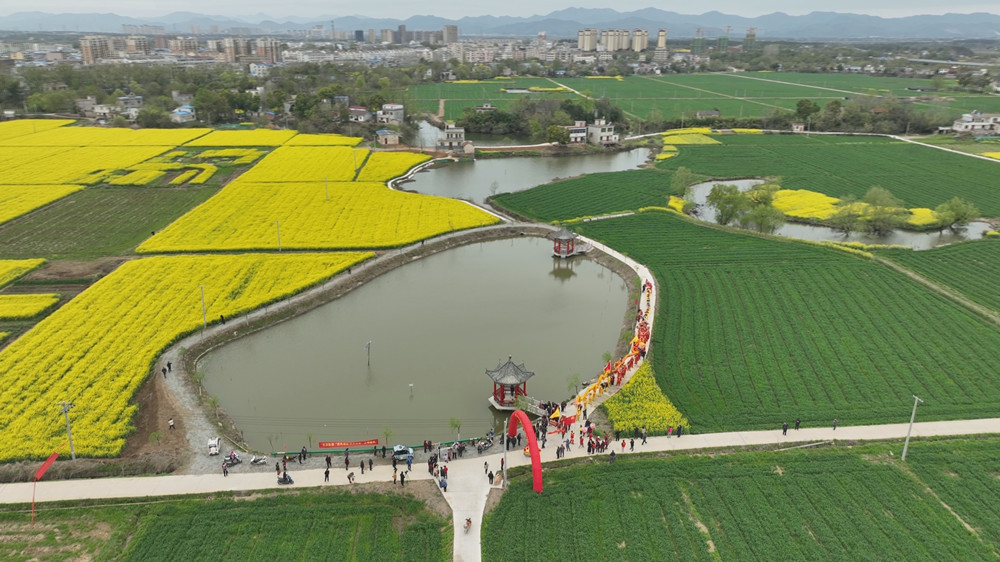 /uploads/image/2023/03/27/1cc6f63cd50a671cf62a63d6b54e705e.jpg 油菜花.jpg