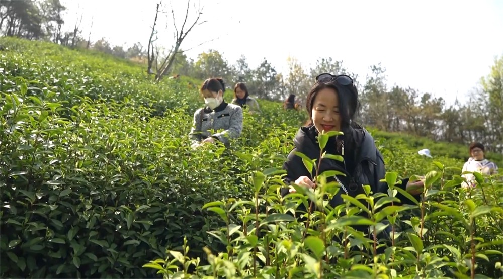 /uploads/image/2023/03/27/1afa249a27273019fdaaa2c8245118d7.jpg 31.jpg