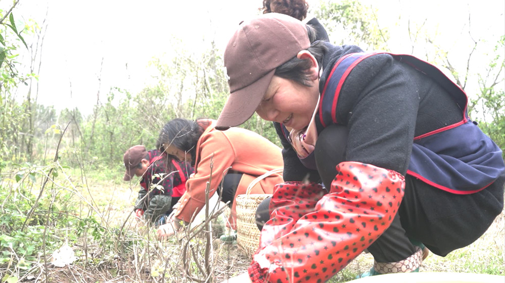 /uploads/image/2023/03/27/67a50f43b775a0e46544bf4af6e9bc81.jpg 1679655366408.jpg