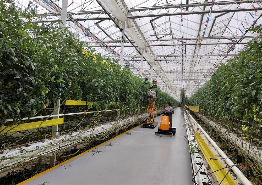 /uploads/image/2023/03/27/63304113f57b70acc1ea1d64274fe446.jpg 12.jpg