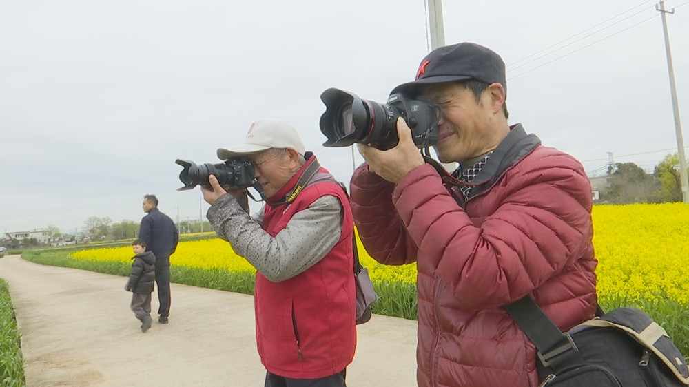 /uploads/image/2023/03/27/84498e9286f2d46bc75d556c5fe4e007.jpg 油菜花3.jpg