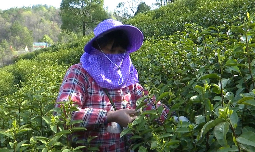 /uploads/image/2023/03/27/bb841be5fb7284cd8f34bf77af098a81.jpg 30.jpg