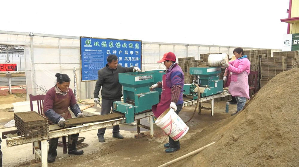 /uploads/image/2023/03/27/27526753a7e70fbcc2be563f3e45bf50.jpg 育秧机自动育秧.jpg