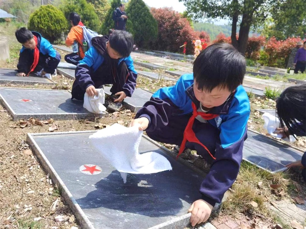 /uploads/image/2023/04/03/70395eb61c46309a1dc3da769c01fe03.jpg 青草.jpg