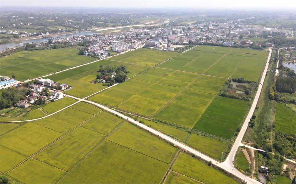 /uploads/image/2023/04/06/1004786e3a461bd2993113011ae2c8c6.jpg 1.jpg