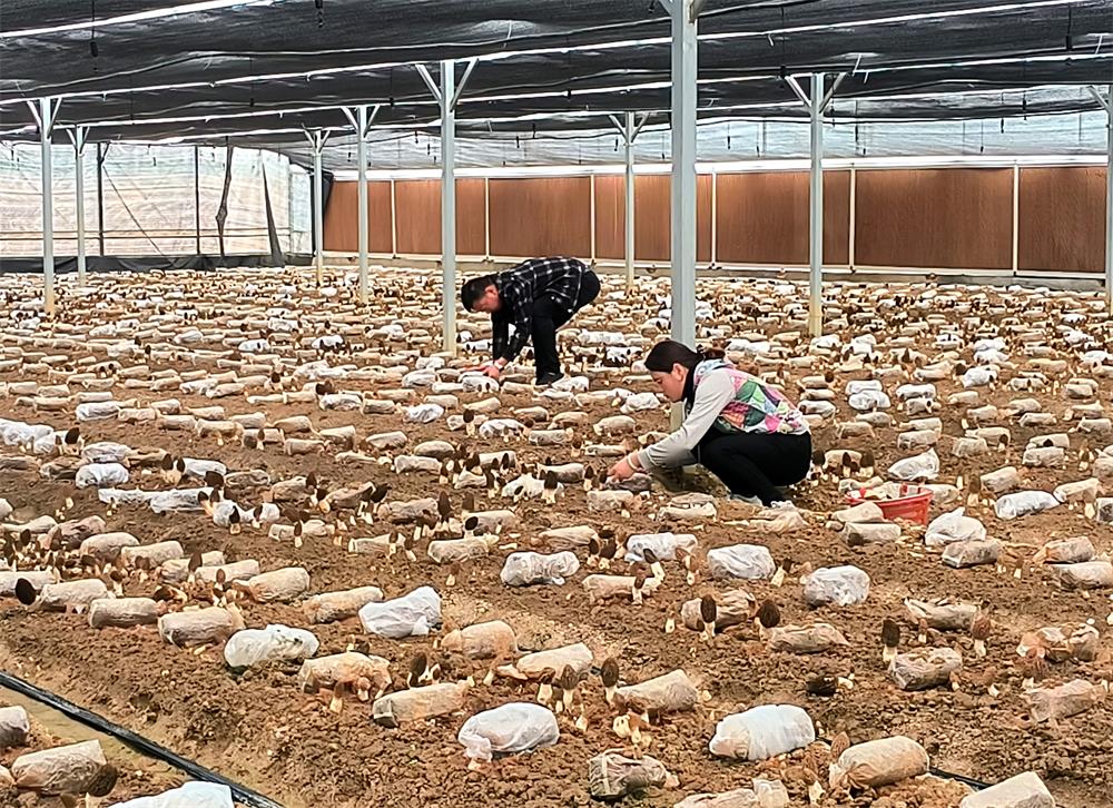 /uploads/image/2023/04/07/8146ac27dc3da1cdf4b56ac54e7e6fe5.jpg 2.jpg