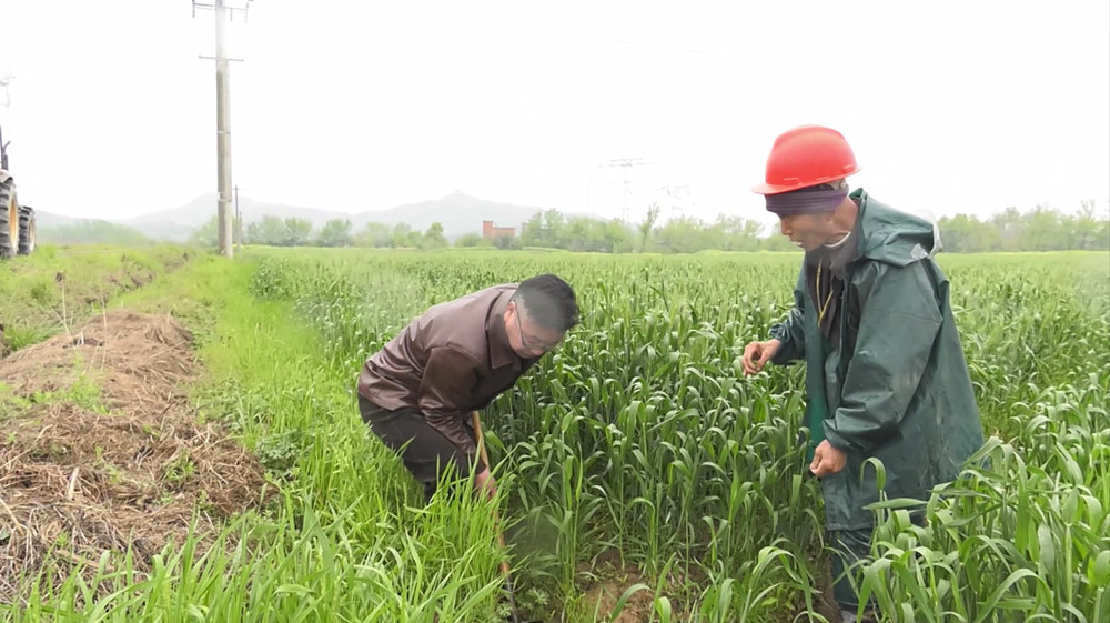 /uploads/image/2023/04/06/ddacf34702253903614f375a7cb62b17.jpg 胡登峰组织清沟沥水.jpg