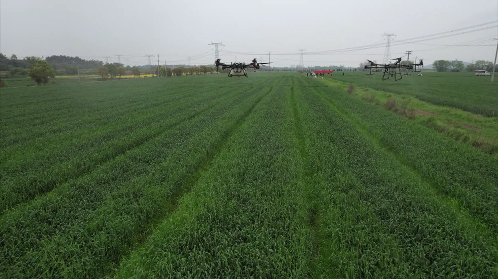 /uploads/image/2023/04/06/bec2583341dcf0f2ae7f650ca01f969b.jpg 无人机飞防(1).jpg