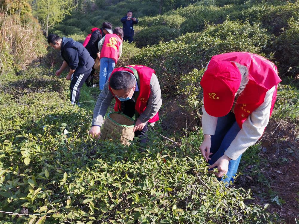 /uploads/image/2023/04/11/a34a0bcc9a6f769a8ced7988eb7b8332.jpg 11.jpg