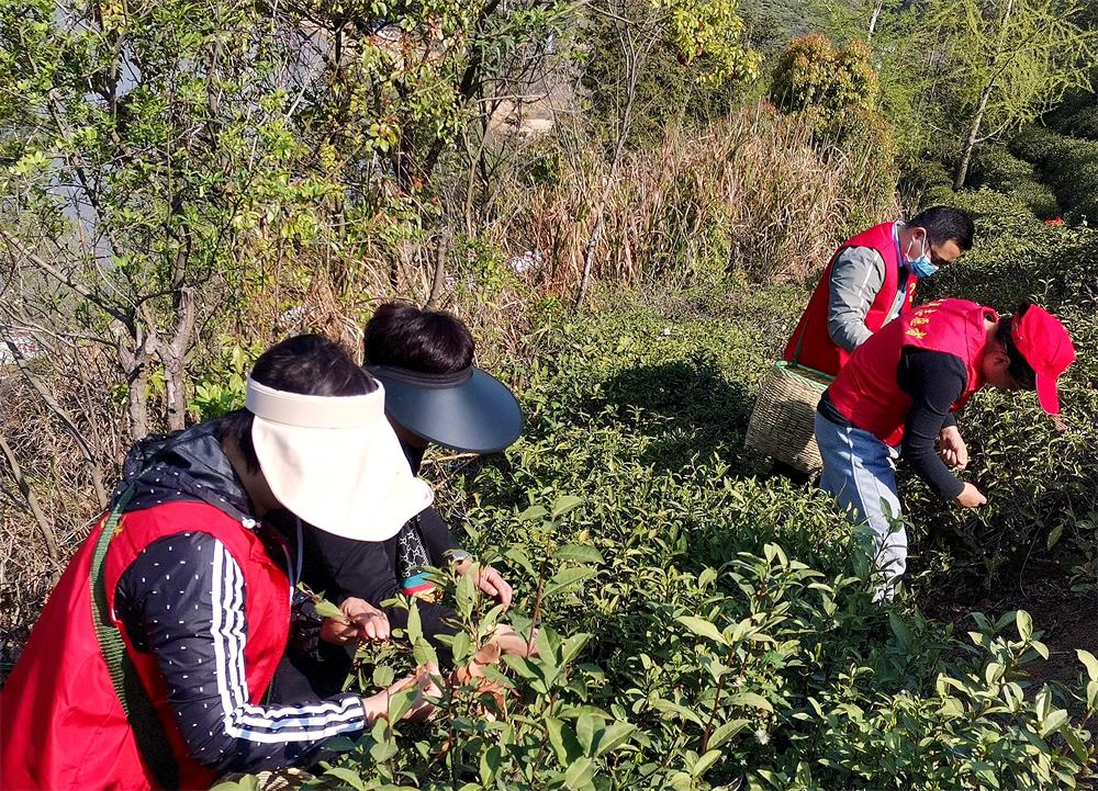 /uploads/image/2023/04/11/7ebdee590674742fb1a8abef6e8aeb1d.jpg 10.jpg