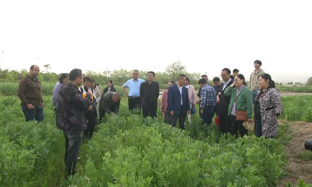 /uploads/image/2023/04/13/1cf31c7e491359162f89d158efa6bdd3.jpg 图为专家前往基地调研.jpg