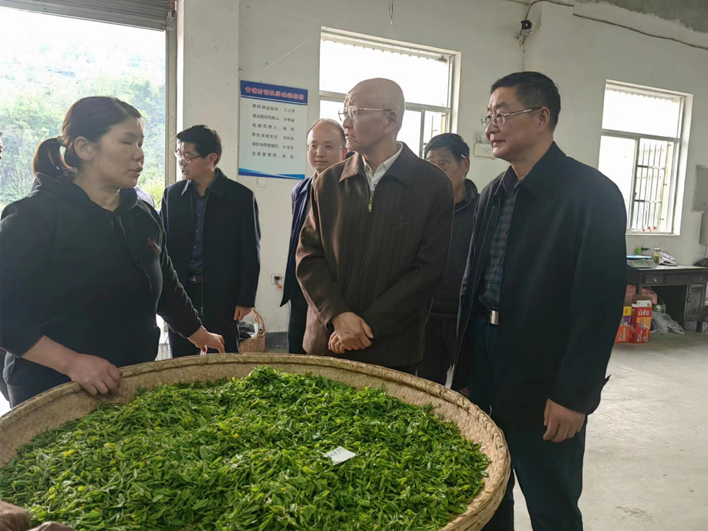 /uploads/image/2023/04/13/f262c8dea26364602d7f10275555c79d.jpg 微信图片_20230413142218.jpg