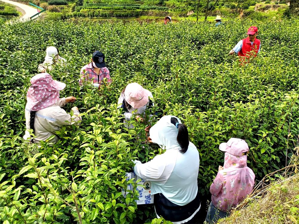 /uploads/image/2023/04/17/67684024cc707bc4dd0336e26b2e064a.jpg 6.jpg