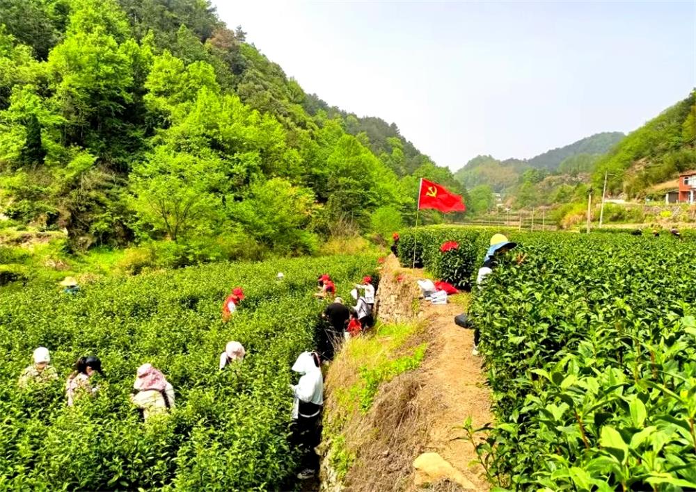 /uploads/image/2023/04/17/174f5d8306b12280d48bea978e67b48b.jpg 5.jpg