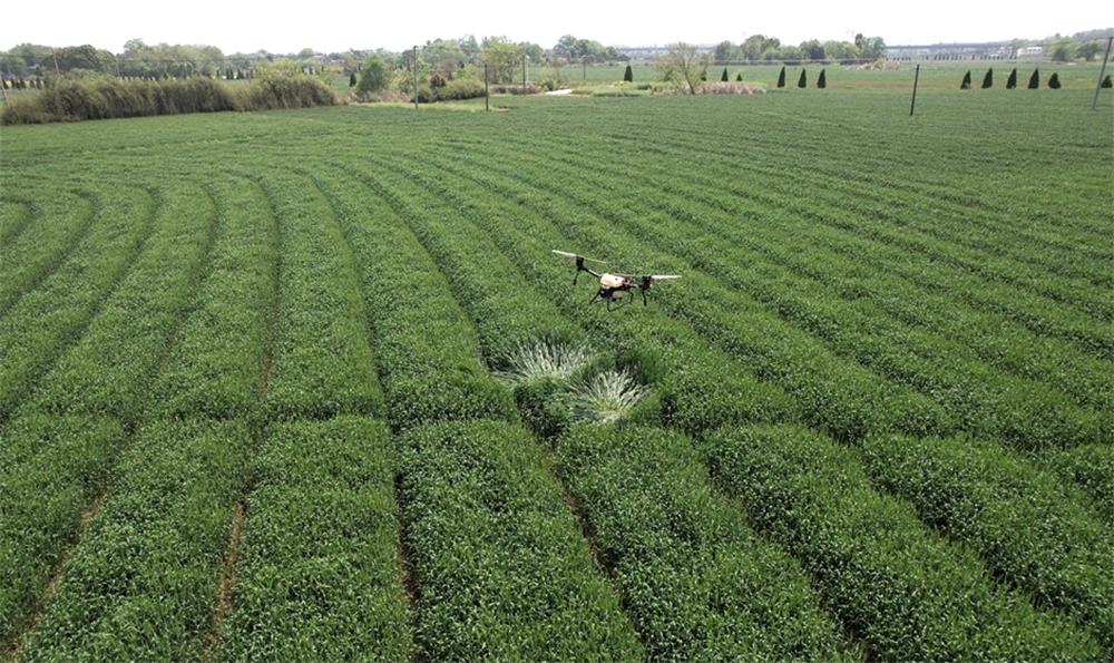 /uploads/image/2023/04/19/1ad9162223c03f8159d9b38f609e6f63.jpg 3.jpg