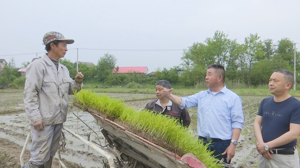 /uploads/image/2023/04/19/a5450f444cc4e1aa6bed306747fe9daf.jpg 早稻插秧3.jpg