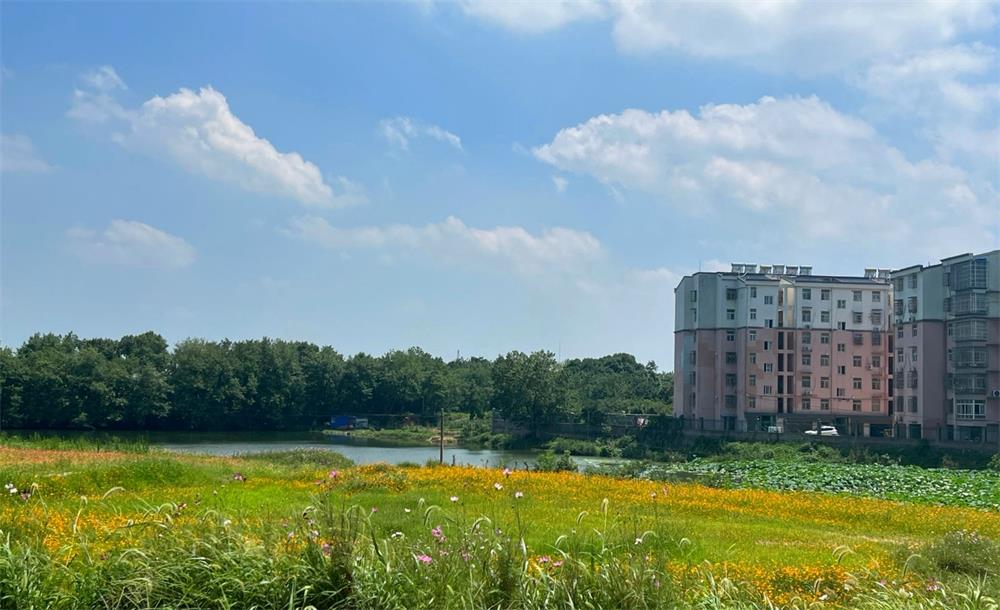 /uploads/image/2023/04/19/8371b4d65abd30d7164b6f8f4e682c83.jpg 7.jpg