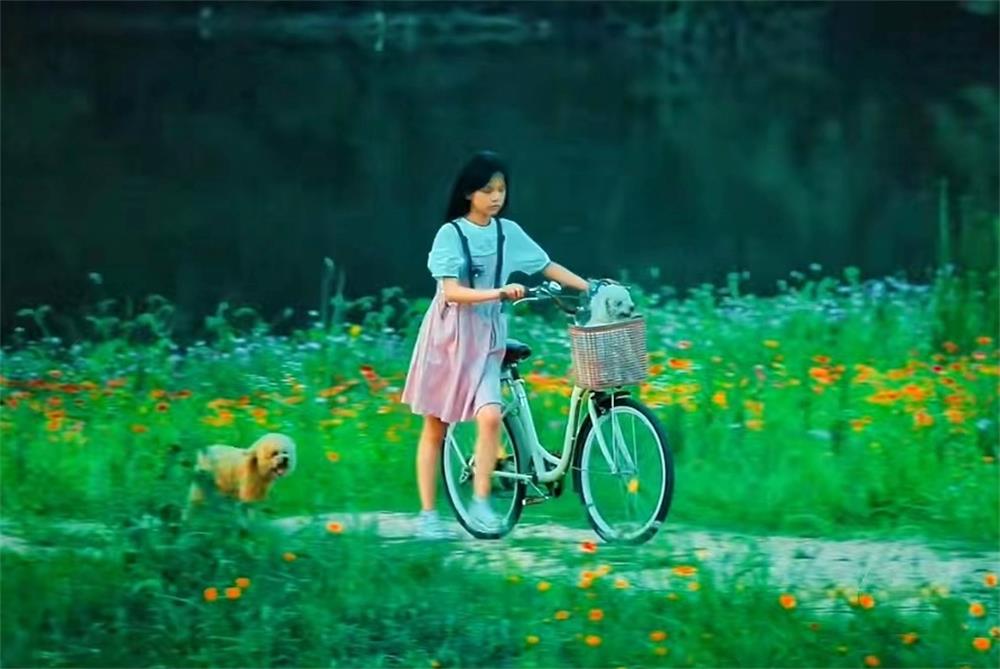 /uploads/image/2023/04/19/ed36f16250b80a1502885269a0d588e1.jpg 8.jpg