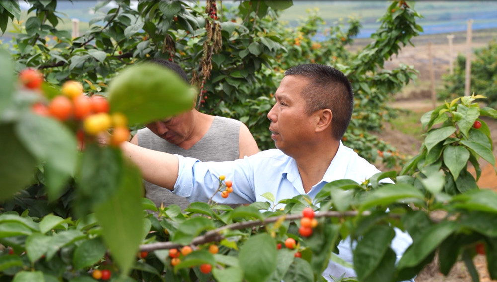 /uploads/image/2023/04/21/9e80783f0c2e8483b30b5493d84c917e.jpg 微信图片_20230420180736.jpg