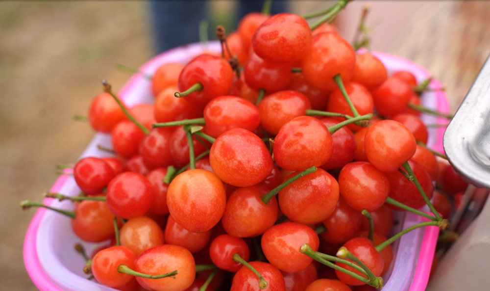 /uploads/image/2023/04/21/fc33faf4872b070334b2abe83505b192.jpg 微信图片_20230420180731.jpg