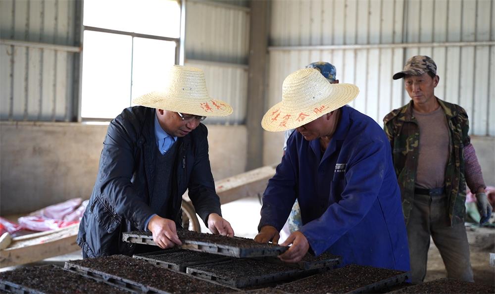 /uploads/image/2023/04/28/db918aa0c43a84cce394e5808a909fb7.jpg 3.jpg