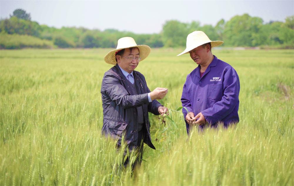 /uploads/image/2023/04/28/a8f367f843a4c4c640cbe132c386788e.jpg 4.jpg