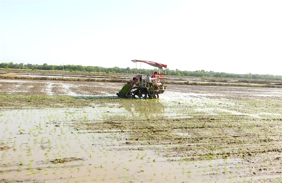 /uploads/image/2023/05/12/cfcd05772eca0263f951eb11f3d2fad7.png 1.png