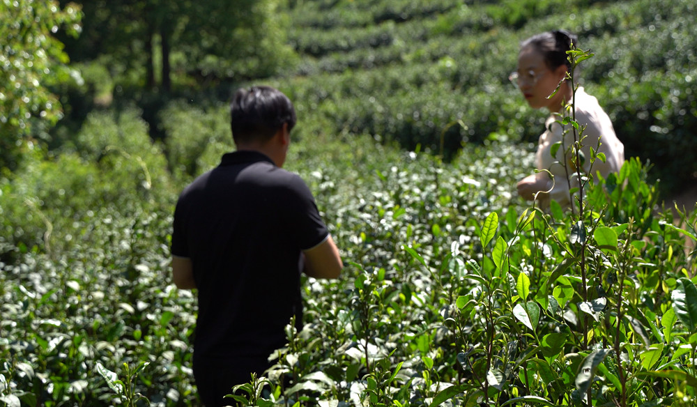 /uploads/image/2023/05/11/f8ab382849a407a3dc3c0e22e6430657.jpg 创景1.jpg