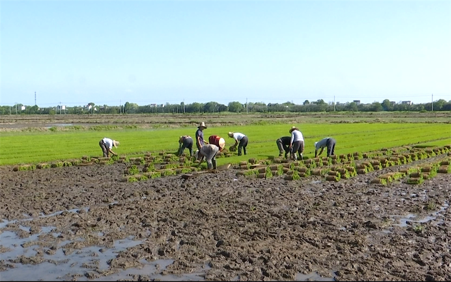 /uploads/image/2023/05/12/f22aa67d2c6bc4fe4e25f8f363e8fec6.png 0.png